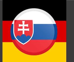 Ponúkam profesionálne preklady z NJ - SJ a opačne