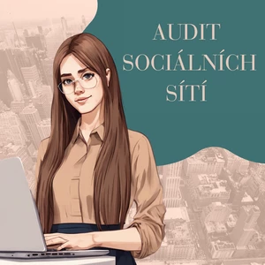 Profi audit sociálních sítí