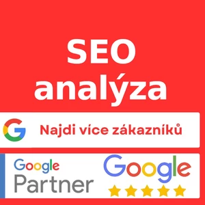 SEO analýza od Google Partnera