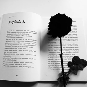 Přečtu, zkontroluji a opravím Váš text - ČJ