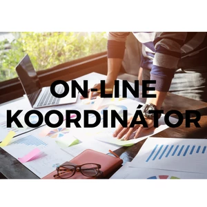 Online koordinátorka vaší akce
