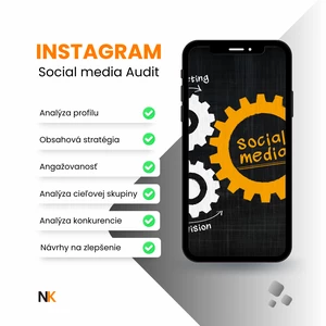 Instagram audit