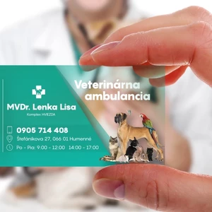 Vizitka na míru, aj podle identity firmy