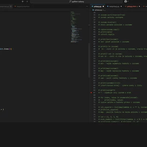 python script