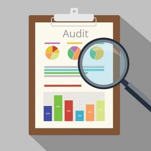 já udělám kompletní Audit web stránky/eshopu + FB/AW/SKLIK kampaní