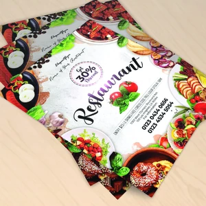 Navrhnu profesionální leták / plakát