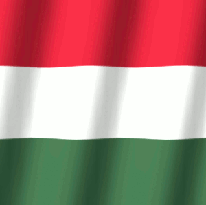 Rodený hovoriaci - spoľahlivé preklady a korektúry z/do maďarčiny