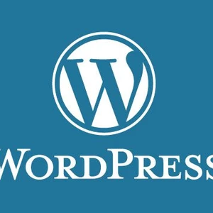 Články do WordPressu