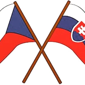 Preklad akéhokoľvek textu z češtiny do slovenčiny