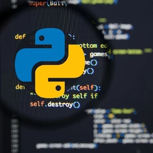 Programovanie v Pythone na mieru