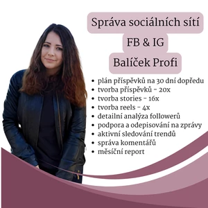 Správa účtů na sociálních sítí - balíček Profi
