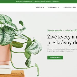 Spravím moderný a rýchly e-shop na mieru pre vaše podnikanie
