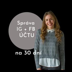 PROFI správa IG/FB účtu