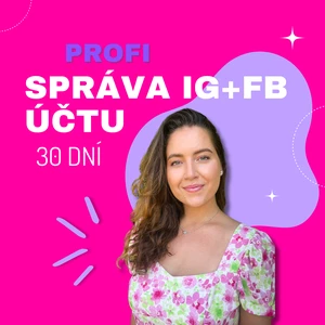 PROFI správa IG/FB účtů MINI balíček