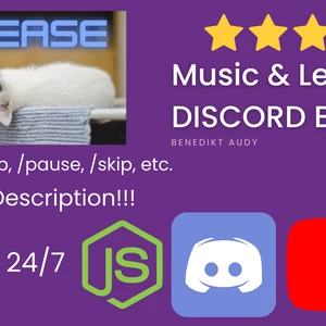Vytvorím plne prispôsobiteľný Discord Music Bota pre váš server Discord