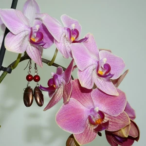 Náušnice - bižuterní kov - varianty