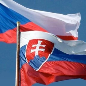 Zpracuji překlad z češtiny do slovenčiny a naopak 