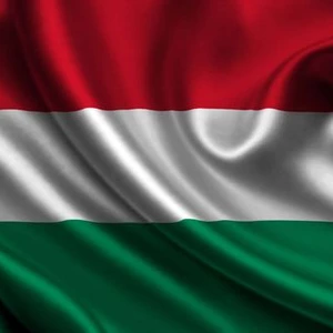 Doučovanie maďarského jazyka