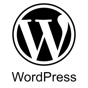 Vytvorím profesionálny web cez Wordpress