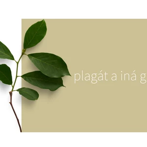 plagát a iná grafika