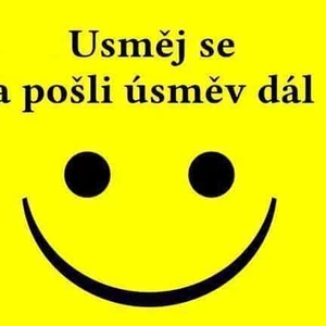 Ja spravím preklad z/do CZ/SK