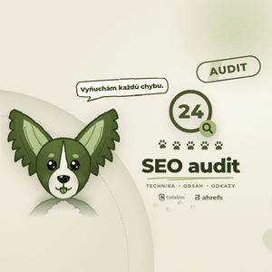 SEO audit webu a e-shopu
