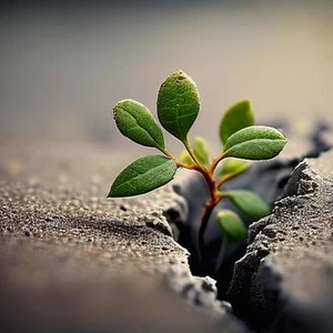 Tajomstvá nezastaviteľnej motivácie - ako urobiť zo svojho ega spojenca 