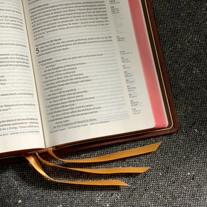 Přeložím jakýkoliv text z/do Angličtiny