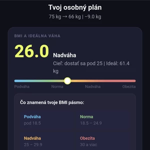 Vytvorím BMI fitness kalkulačku ako appku PWA pre koučov a trénerov