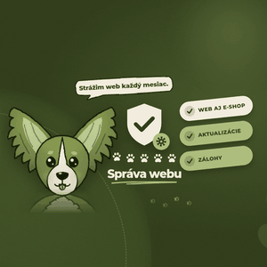 Mesačná správa a údržba webu