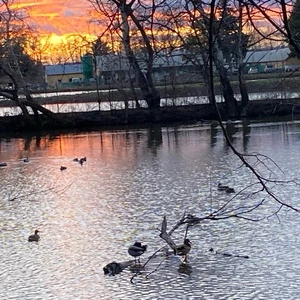 Ja budem tvojou virtualnou kamaratkou