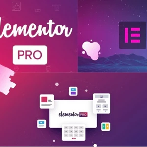 já udělám ELEMENTOR PRO plugin pro WordPress
