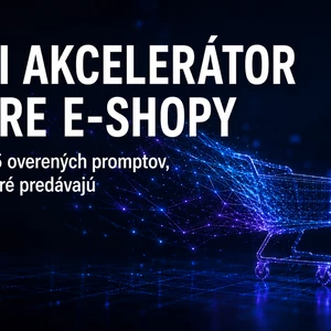 155 AI promptov pre e-shopy a predajcov Ihneď k stiahnutiu