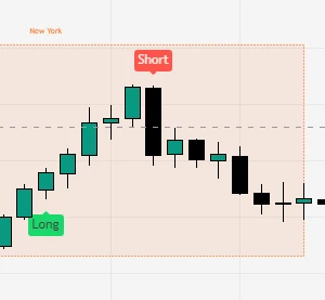 Naučte sa profesionálne obchodovať  Individuálne lekcie tradingu