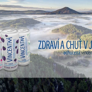 Reklamní Banner pro PPC/web nebo socials