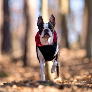 já udělám - Focení eventů