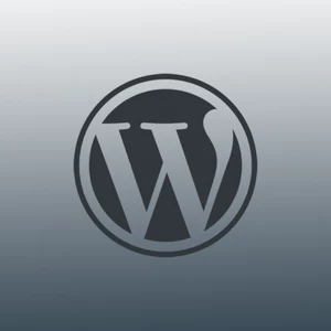 Wordpress úpravy