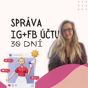 PROFI správa IG/FB účtu