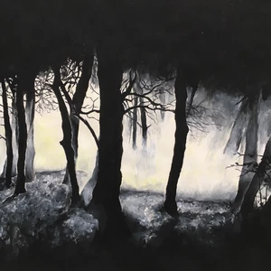 svítící obraz na přání