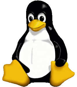Na úrovni kernelu linuxu doprogramujem