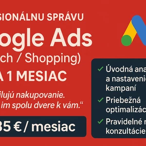 Profesionálnu správu Google Ads kampaní na 1 mesiac – pre e-shopy 