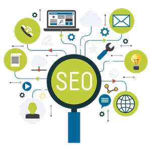 Měsíční SEO správa webu